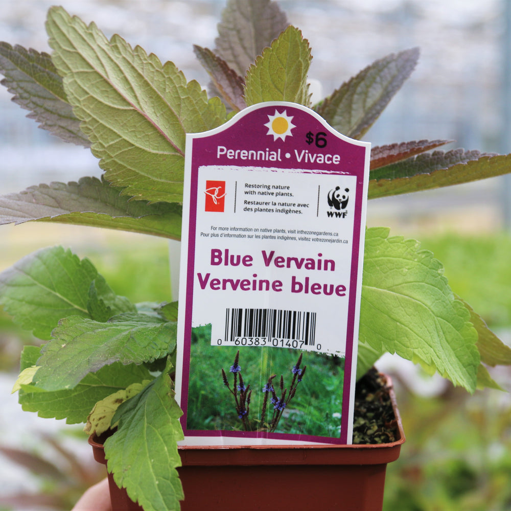Find Source-Identified Native Plants at your Local Loblaw Garden Centres